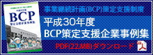 平成30年度BCP策定支援制度事例集